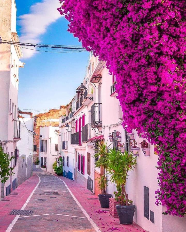 Suite Vitbanus Marbella Kültér fotó